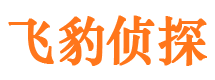 娄星外遇出轨调查取证